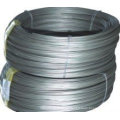 Black Annealed Binding Wire (pro Spule 1kg-100kg)